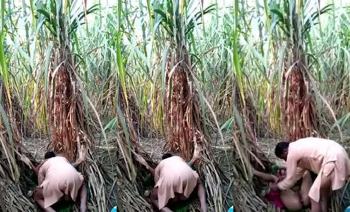gaon ki bhabhi Munni ki khet mein chudai
