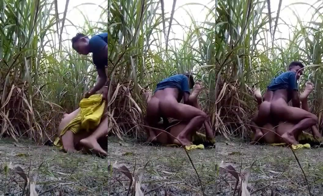 garam girl Punam ki chudai khet mein