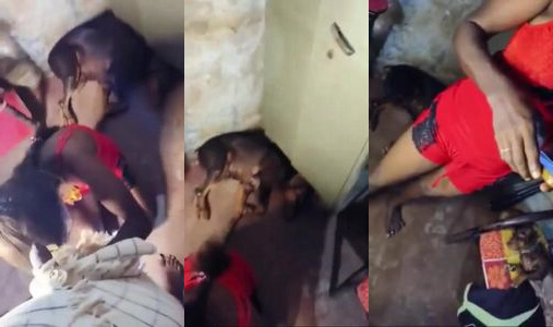 Married tamil young girl blowjob short video