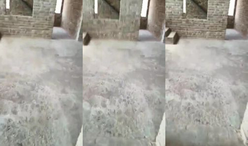 sex video couple caught red handed