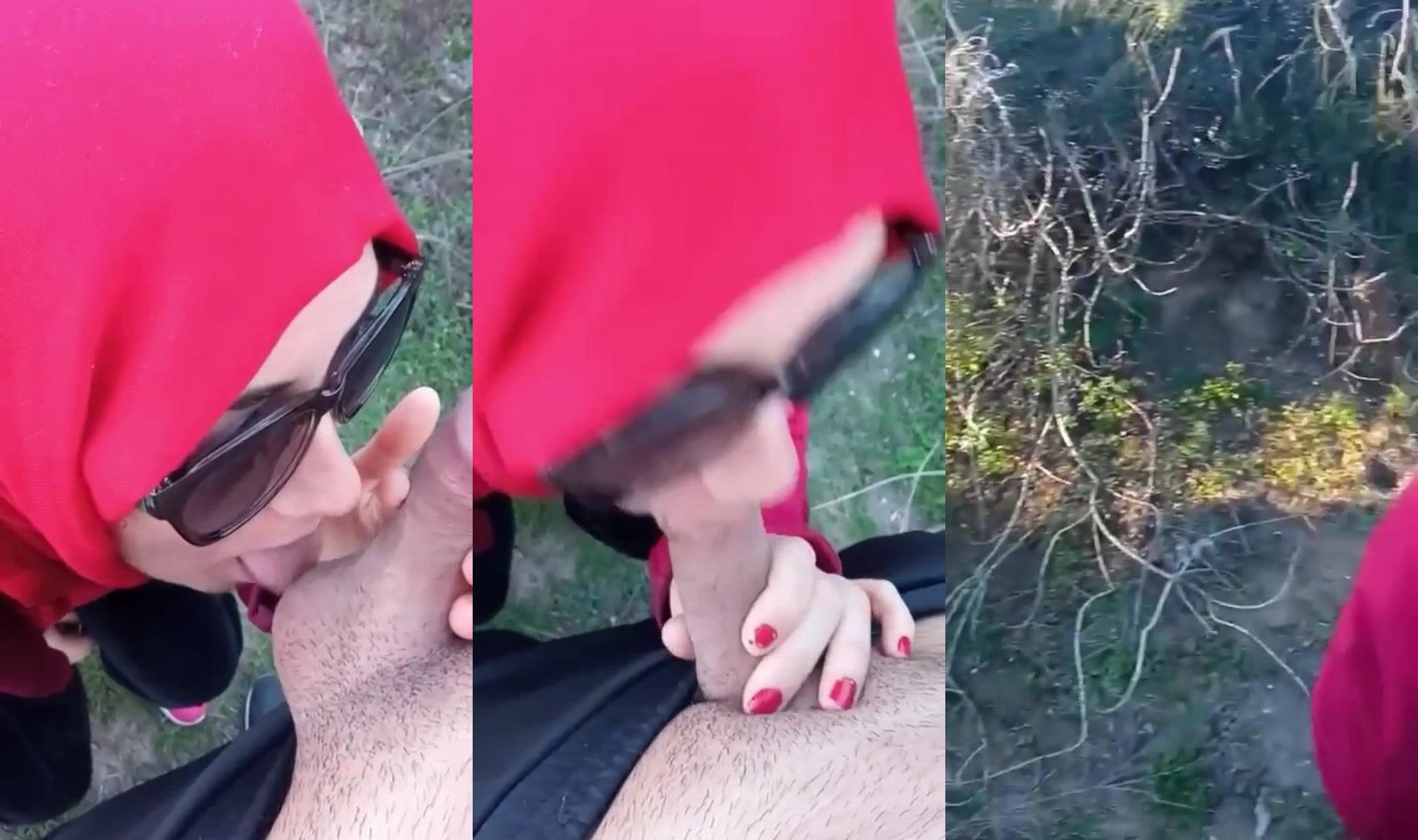 Tourist couple forest outdoor blowjob